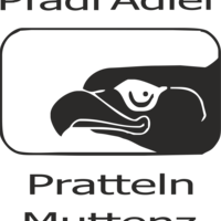 pfadiadler Miniaturansicht