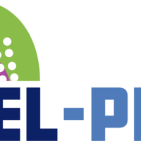 padelpro Miniaturansicht